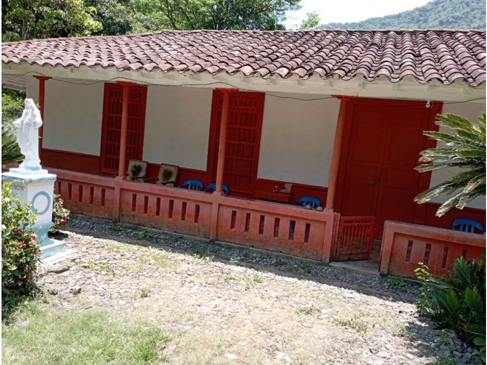 VENTA FINCA LA PINTADA GANADERA , SUROESTE ANTIOQUEÑO - 6