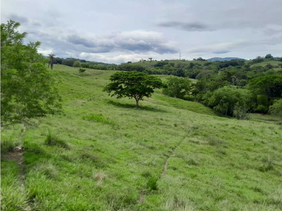 VENTA LOTE , FREDONIA,SUROESTE ANTIOQUEÑO - 3