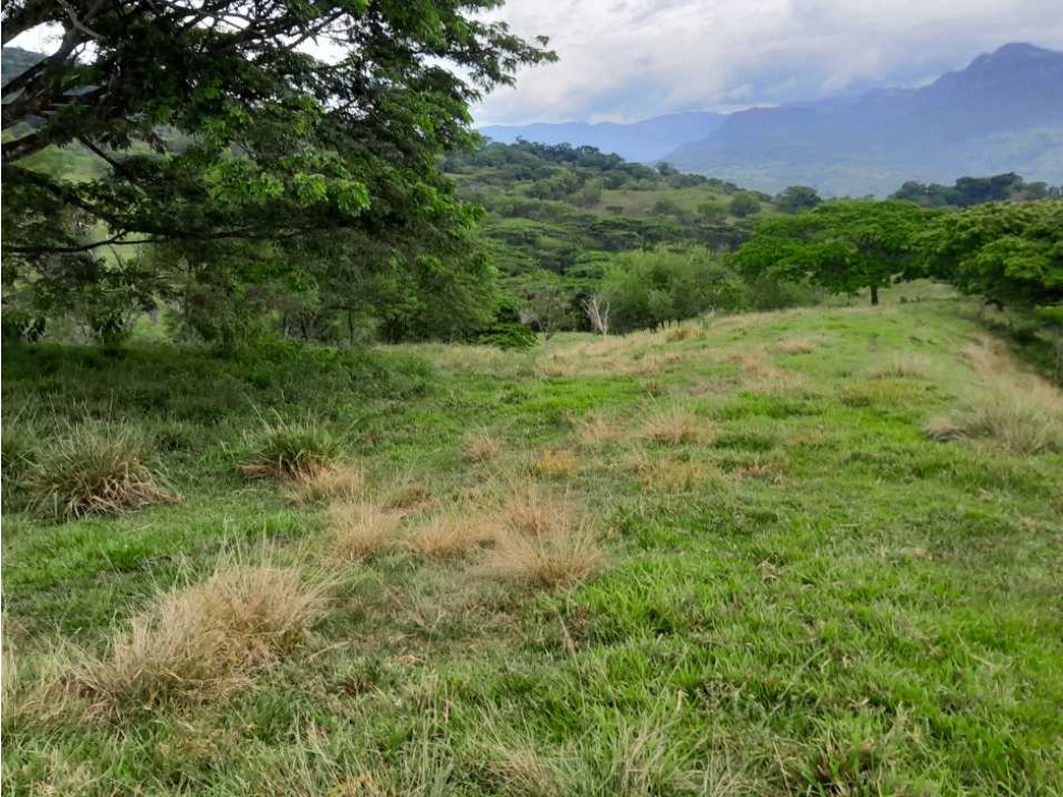 VENTA LOTE , FREDONIA,SUROESTE ANTIOQUEÑO - 5
