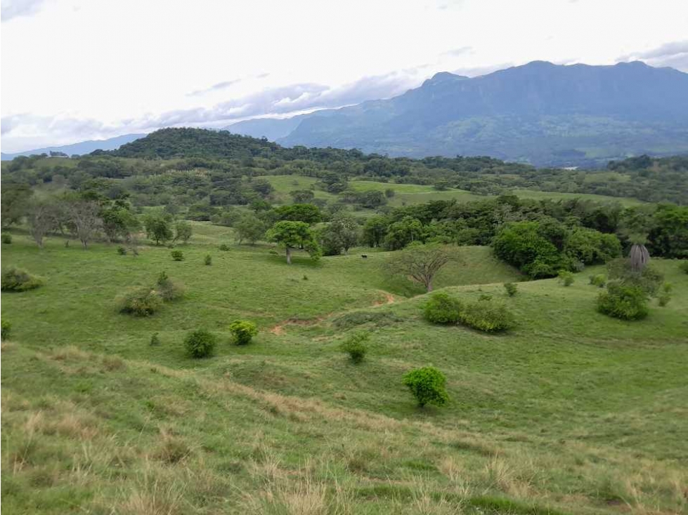 VENTA LOTE , FREDONIA,SUROESTE ANTIOQUEÑO - 2