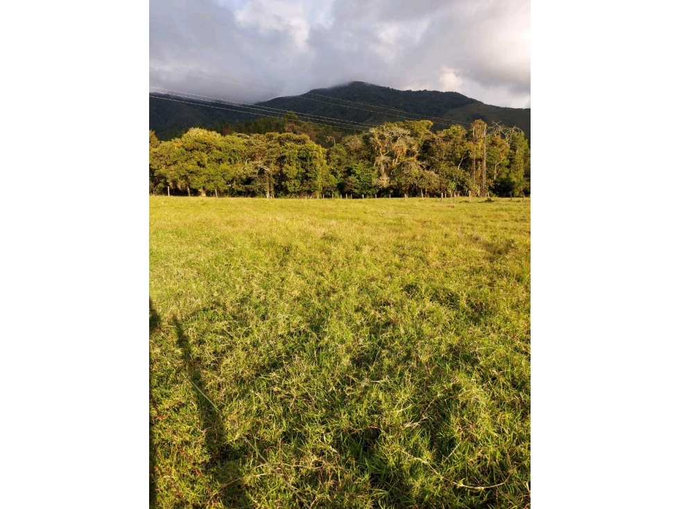 Venta finca ganadera San José Urrao Antioquia - 3