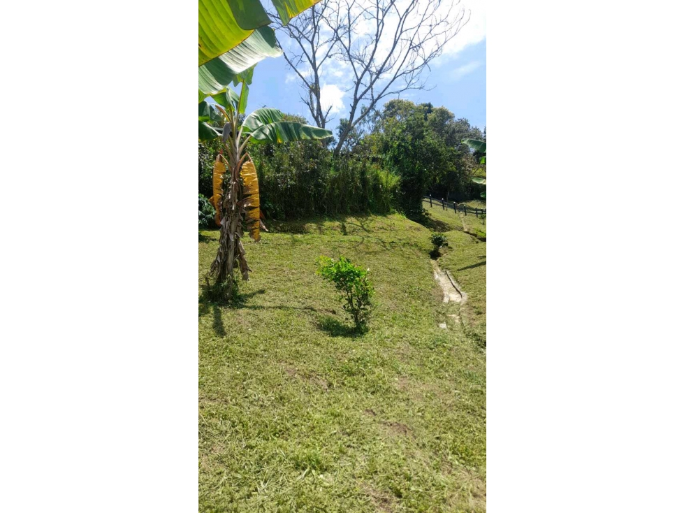 VENTA FINCA GIRARDOTA CERCA A LA AUTOPISTA — foto 4