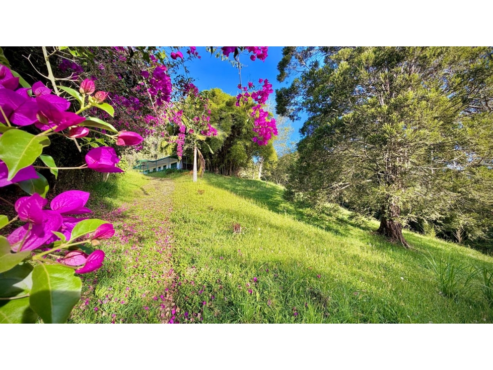 Venta Finca Independiente para subdividir La Ceja