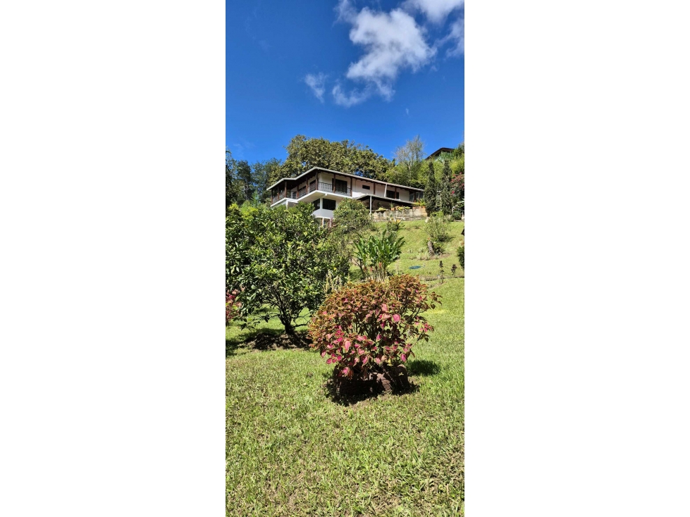 Venta Finca Km 26 Borrero Ayerbe Queremal (LR) — foto 2