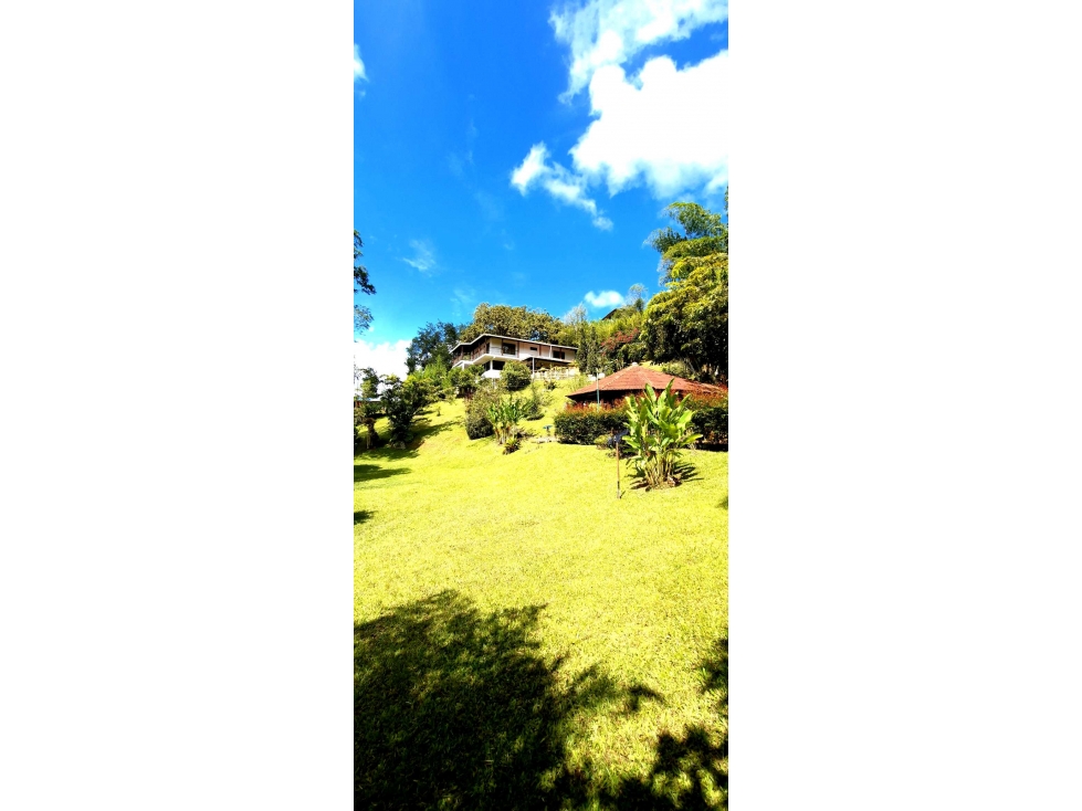 Venta Finca Km 26 Borrero Ayerbe Queremal (LR) — foto 3