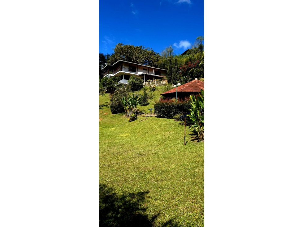 Venta Finca Km 26 Borrero Ayerbe Queremal (LR) — foto 4