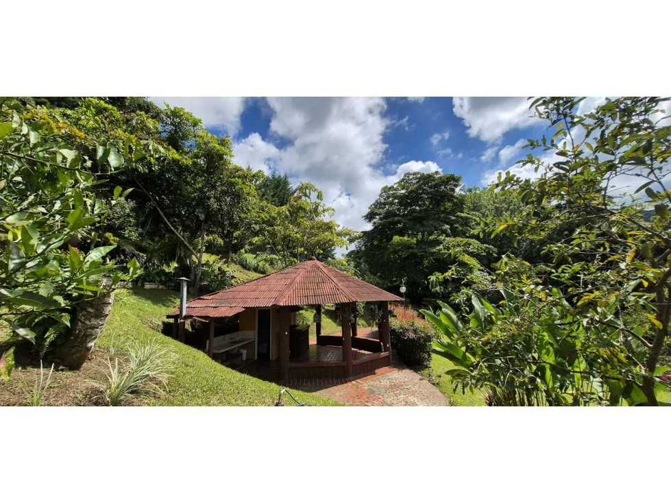 Venta Finca Km 26 Borrero Ayerbe Queremal (LR) — foto 5