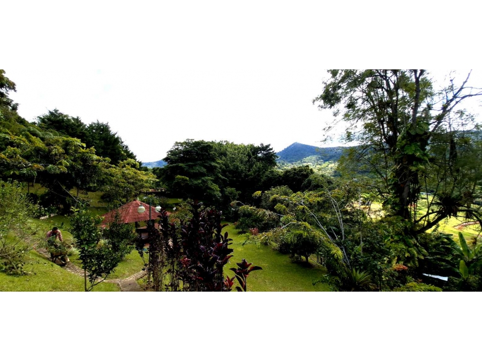 Venta Finca Km 26 Borrero Ayerbe Queremal (LR) — foto 6