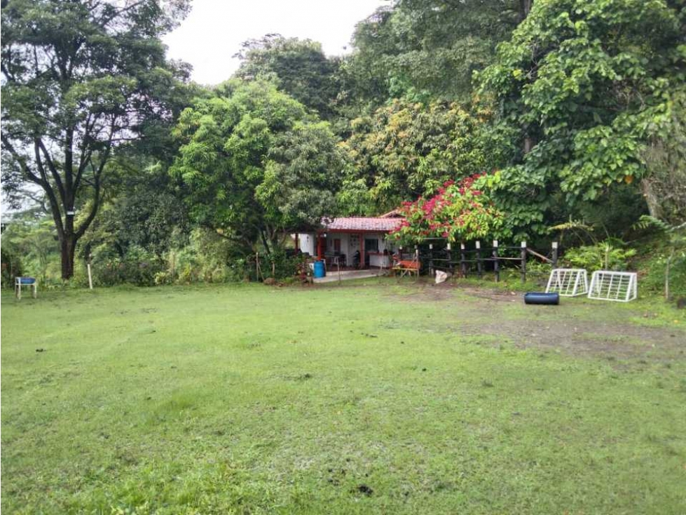 VENTA FINCA LA PINTADA SUROESTE ANTIOQUEÑO