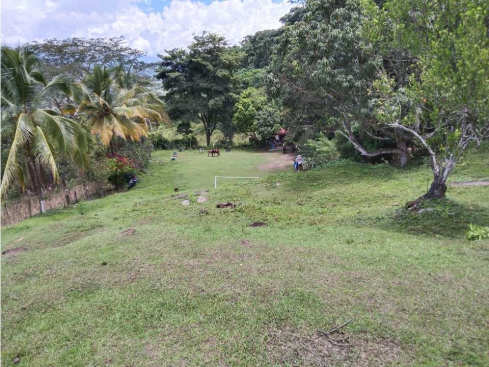 VENTA FINCA LA PINTADA SUROESTE ANTIOQUEÑO — foto 2