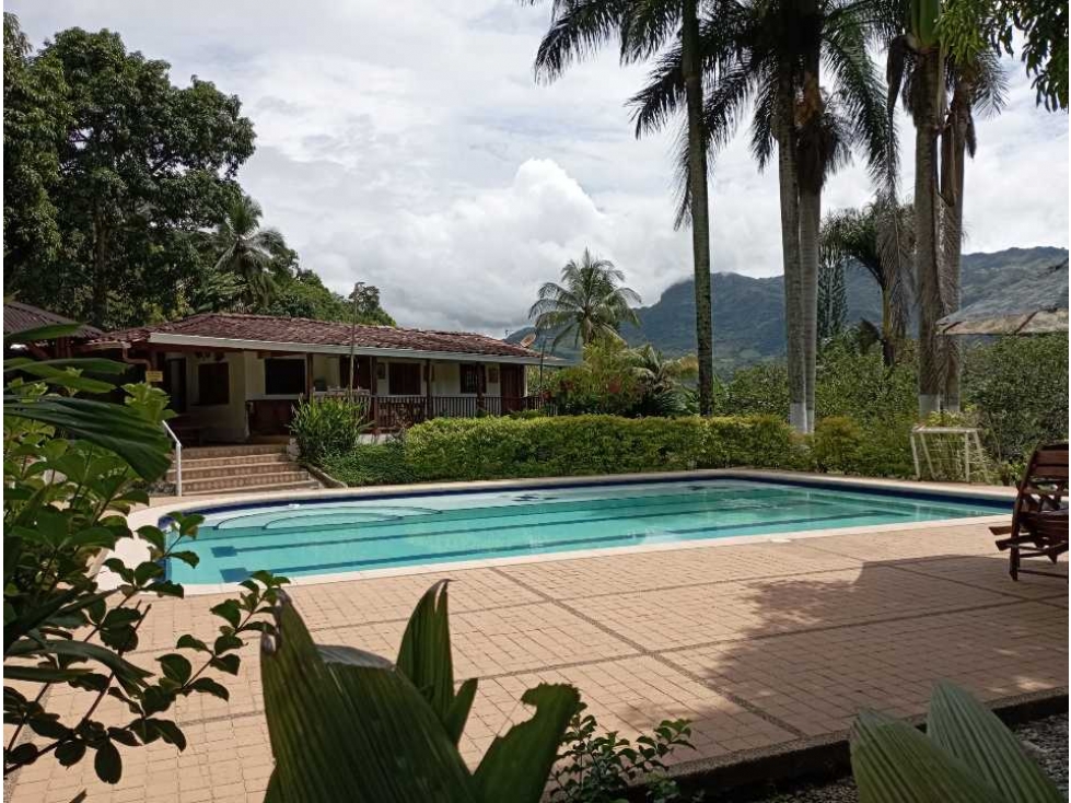 VENTA FINCA LA PINTADA, SUROESTE ANTIOQUEÑO - 1