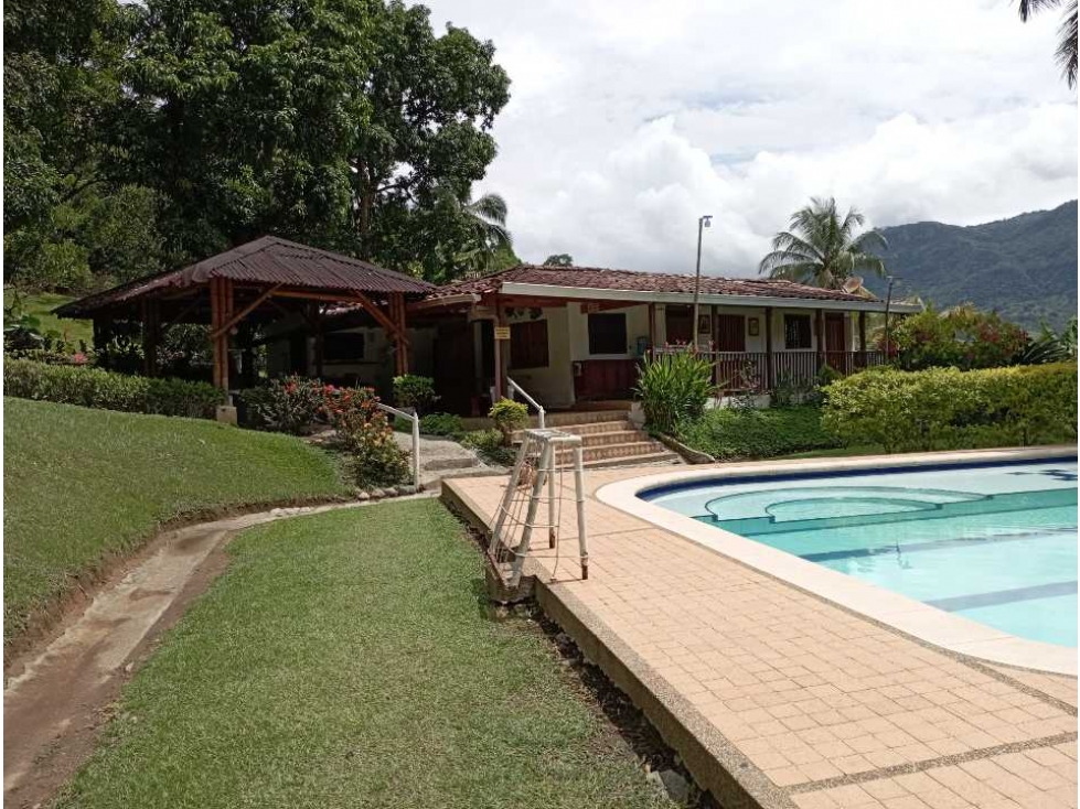 VENTA FINCA LA PINTADA, SUROESTE ANTIOQUEÑO - 3