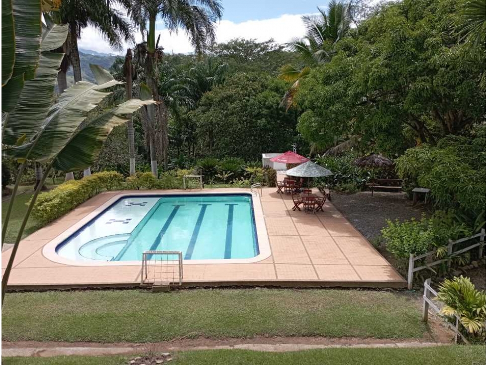 VENTA FINCA LA PINTADA, SUROESTE ANTIOQUEÑO - 4
