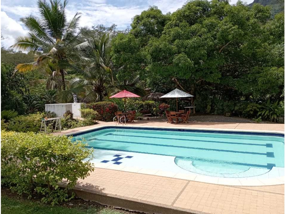 VENTA FINCA LA PINTADA, SUROESTE ANTIOQUEÑO - 6