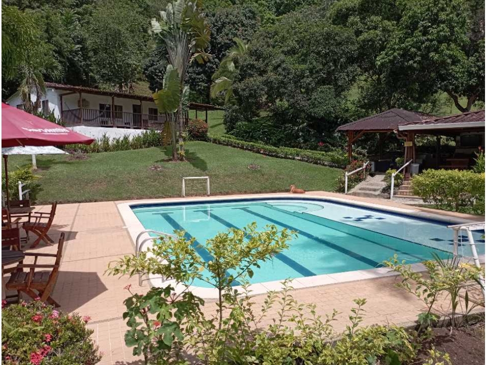 VENTA FINCA LA PINTADA, SUROESTE ANTIOQUEÑO - 5