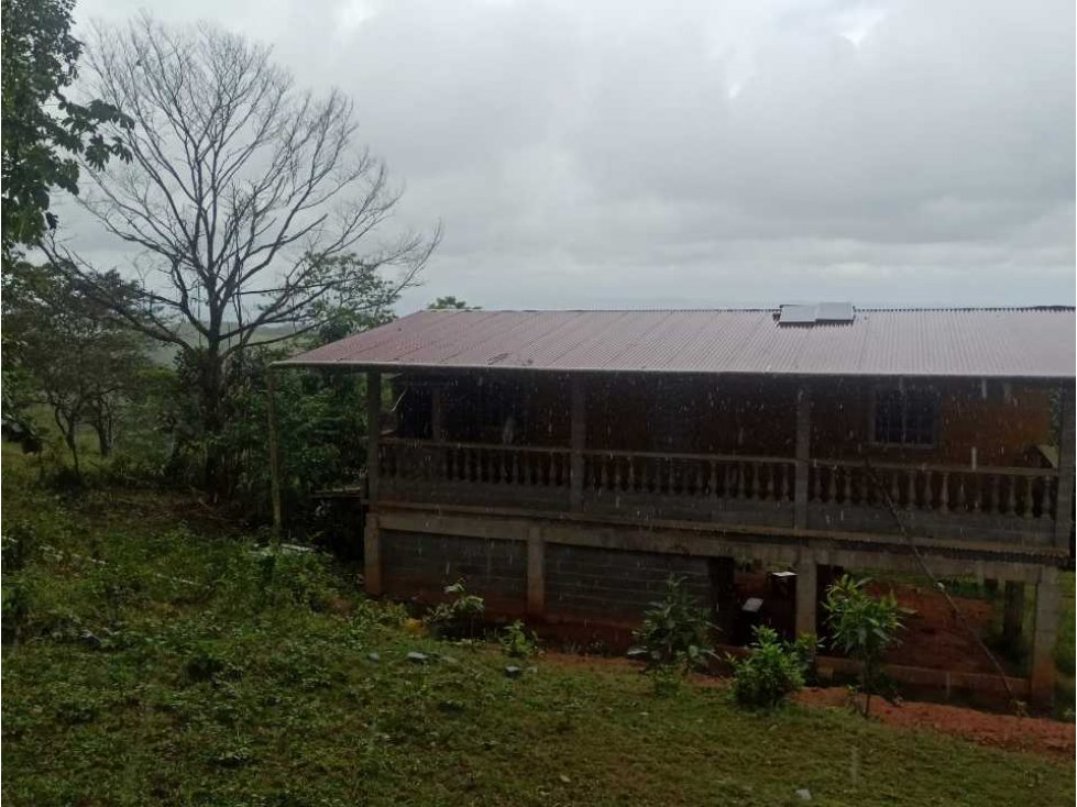 VENTA FINCA MARGARITA DE CHEPO - 2
