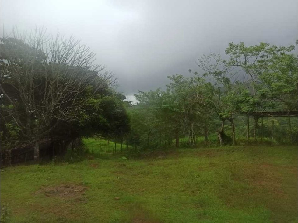 VENTA FINCA MARGARITA DE CHEPO - 3