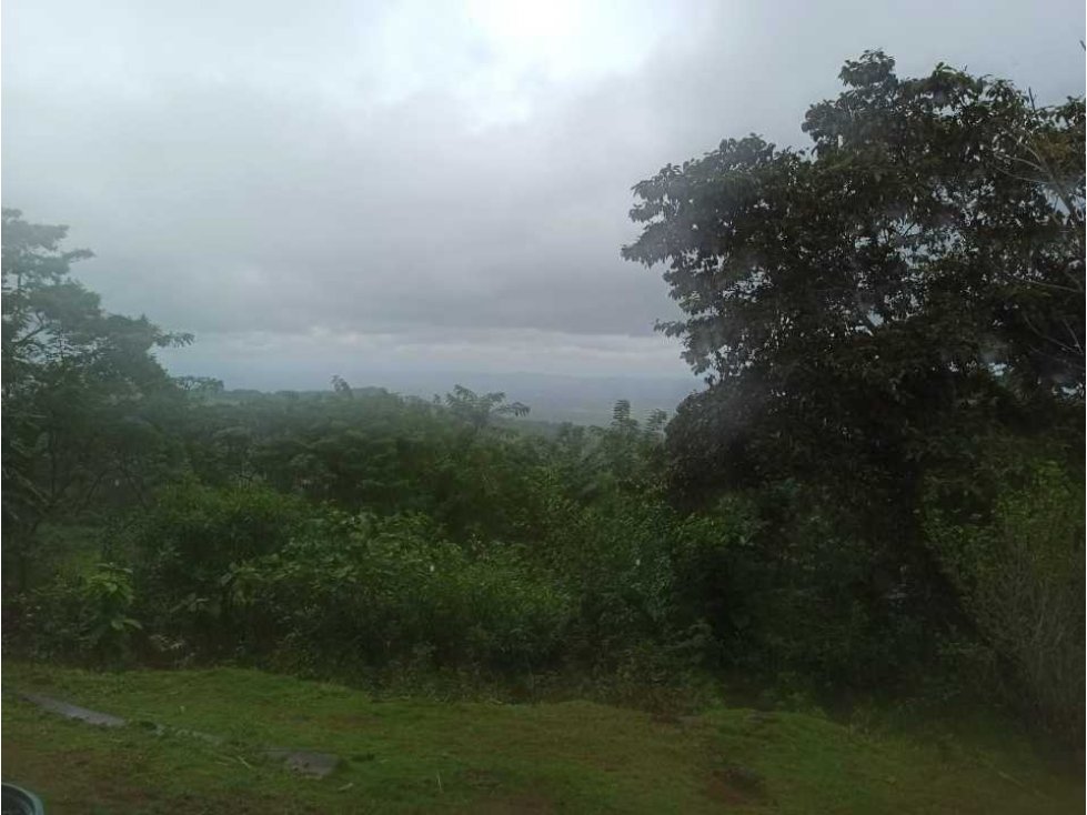 VENTA FINCA MARGARITA DE CHEPO - 4