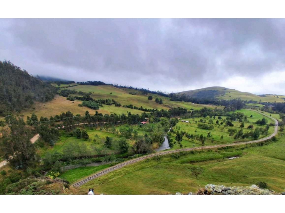 Venta Finca Productiva en Choconta - 1