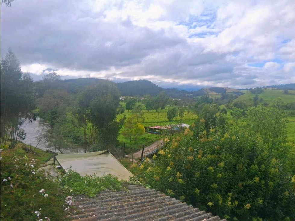 Venta Finca Productiva en Choconta - 3