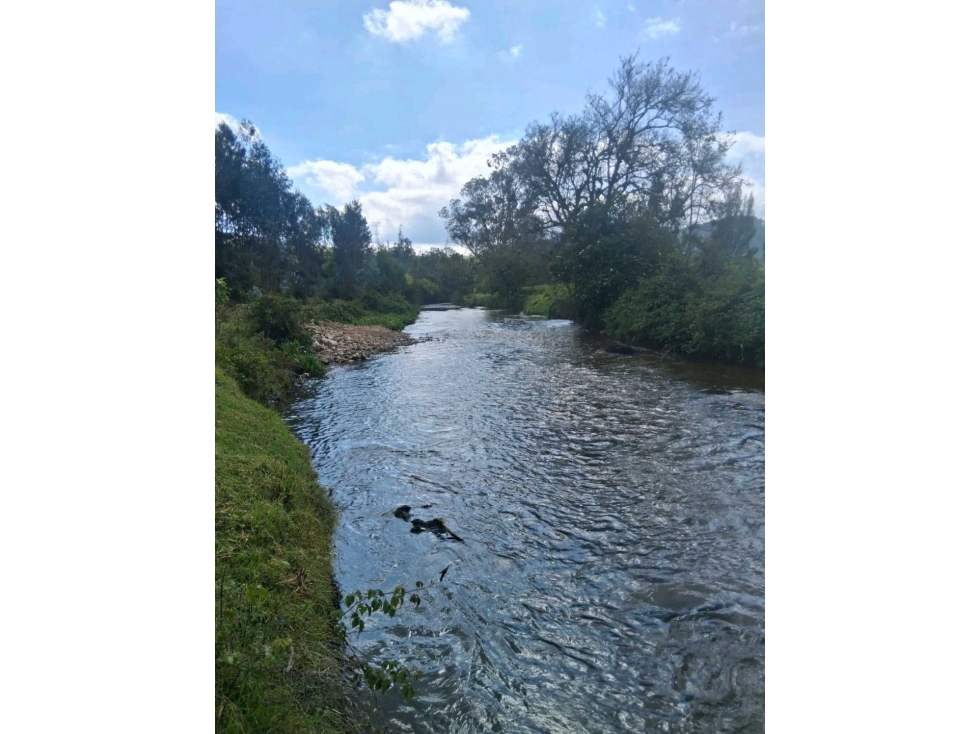 Venta Finca Productiva en Choconta - 5