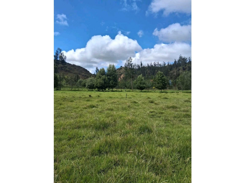 Venta Finca Productiva en Choconta - 2