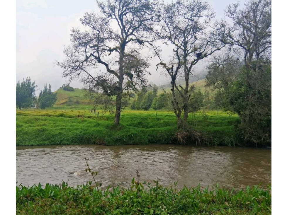 Venta Finca Productiva en Choconta - 4