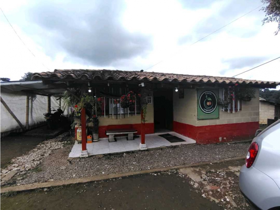 Venta Finca Productiva San Pedro Antioquia — foto 2