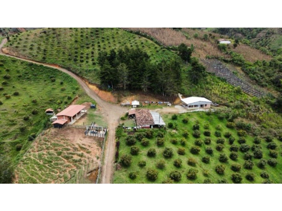 Venta FINCA PRODUCTIVA-SAN VICENTE- Antioquia Ideal para inversión