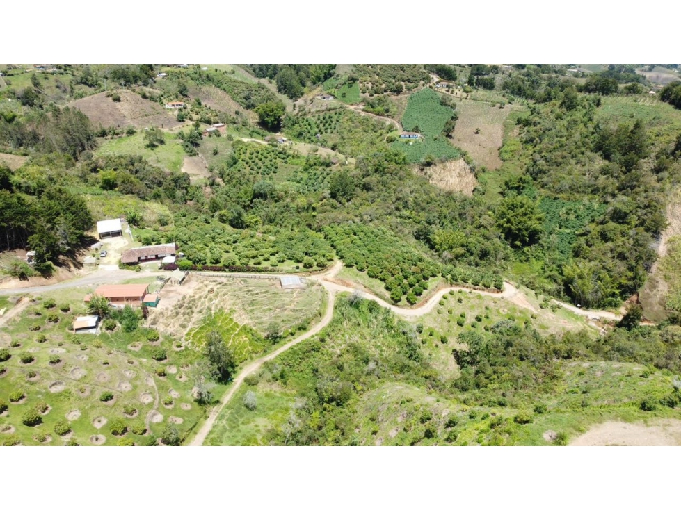 Venta FINCA PRODUCTIVA-SAN VICENTE- Antioquia Ideal para inversión — foto 6