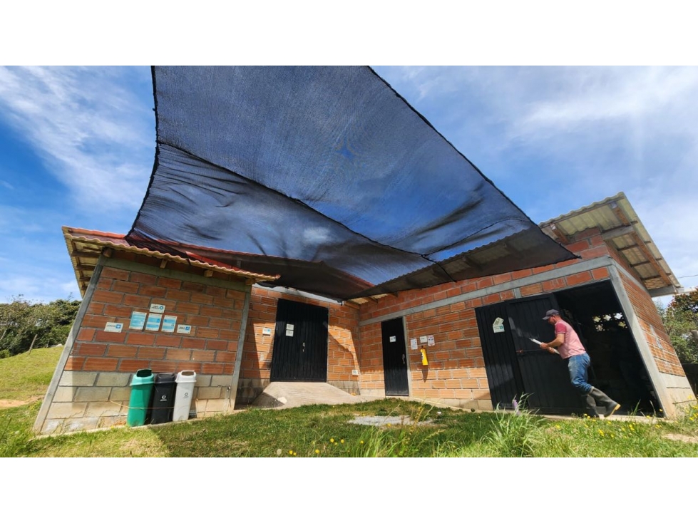 Venta FINCA productora de AGUACATES hass en SAN VICENTE- Antioquia — foto 6