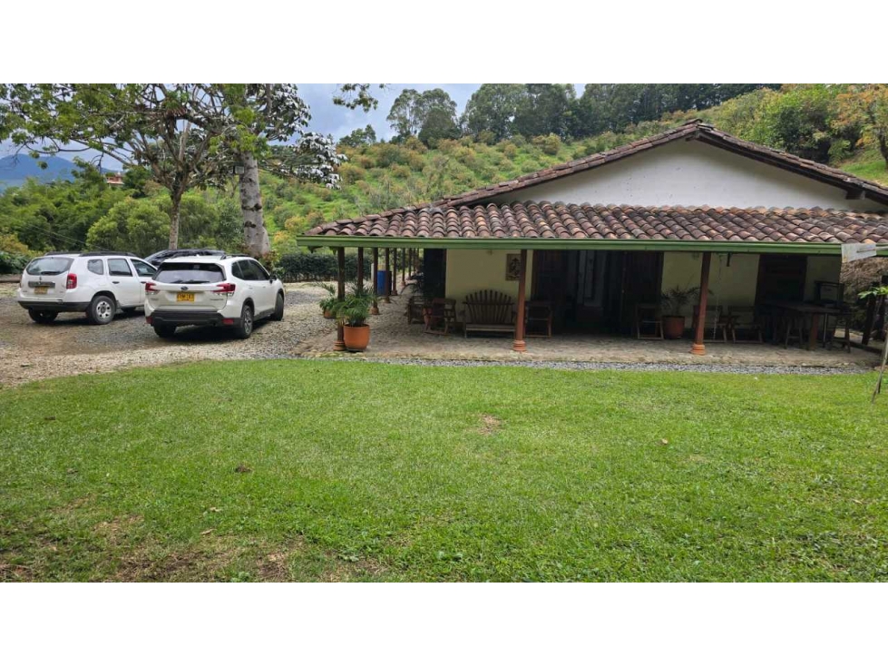 Venta finca productora de agucaste en la ceja