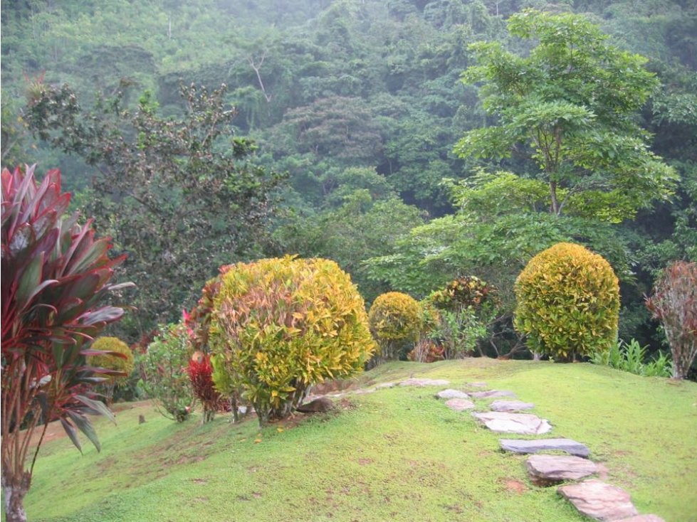 VENTA FINCA QUEBRADA VALENCIA