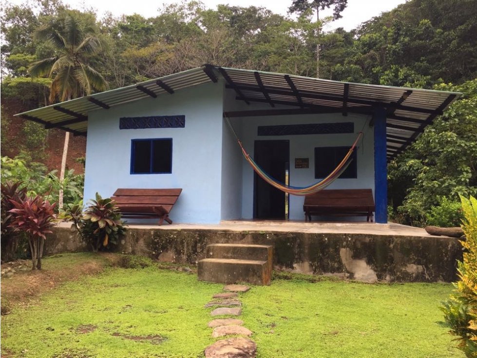 VENTA FINCA QUEBRADA VALENCIA — foto 5