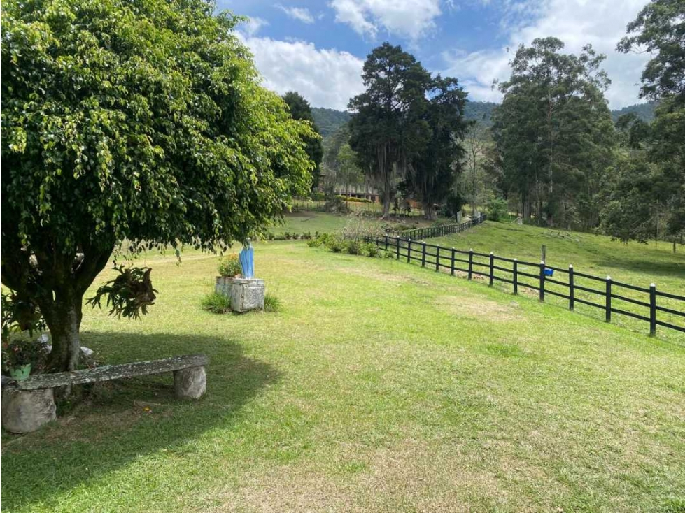 Venta Finca San Antonio de Prado. HERMOSA. 29.86 cuadras — foto 3