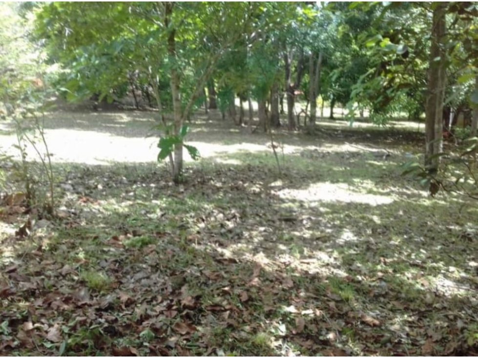 VENTA FINCA SAN CARLOS - 2