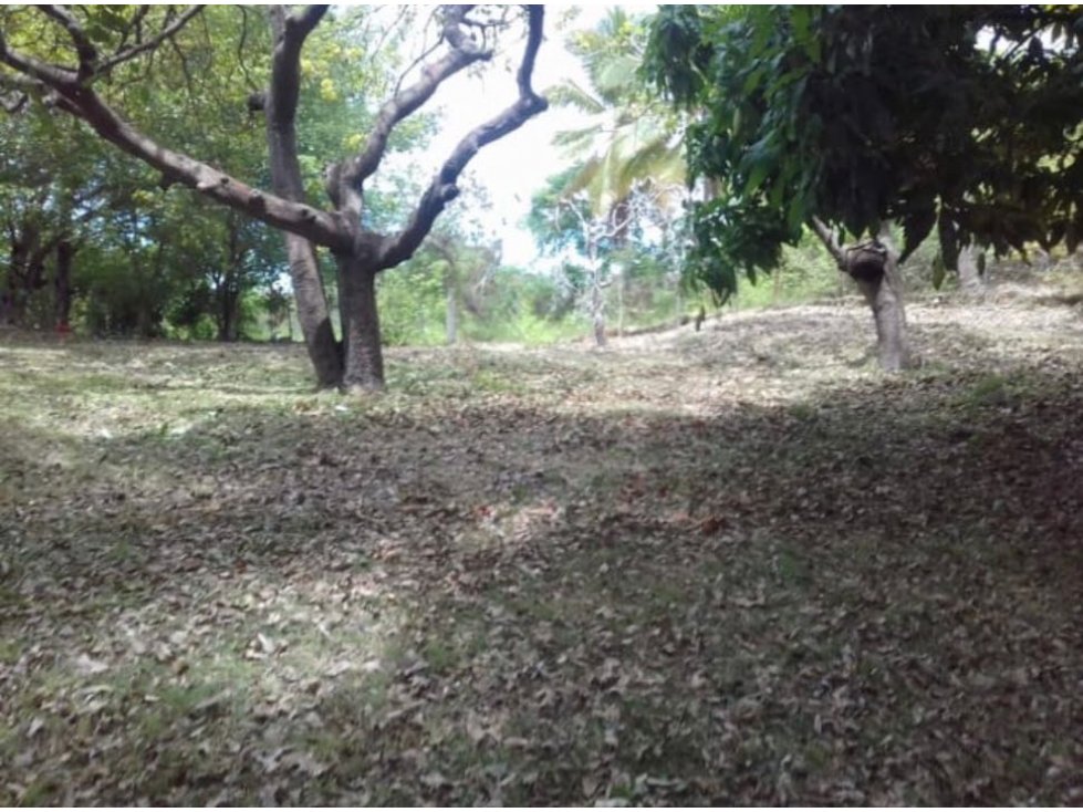 VENTA FINCA SAN CARLOS - 3