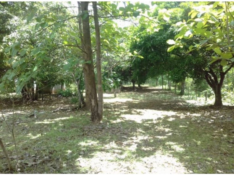 VENTA FINCA SAN CARLOS - 4