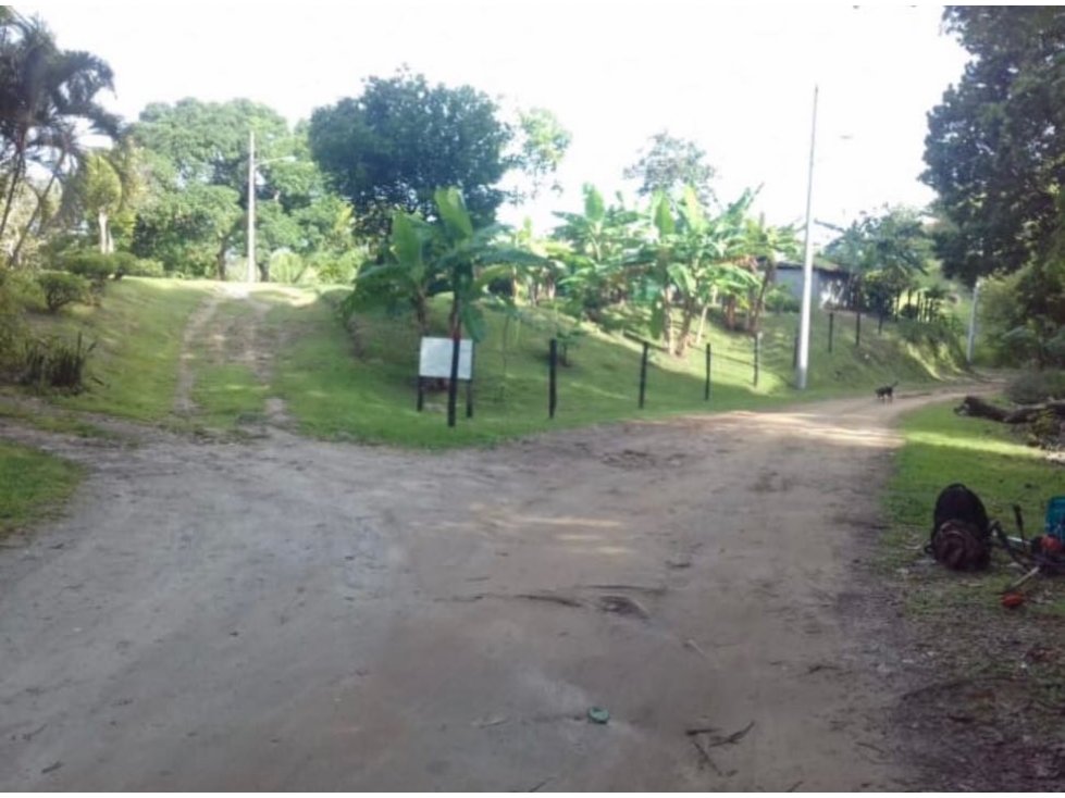 VENTA FINCA SAN CARLOS - 5