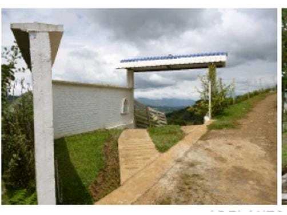VENTA FINCA TOCOTA. DAGUA. W 9510041 L.G