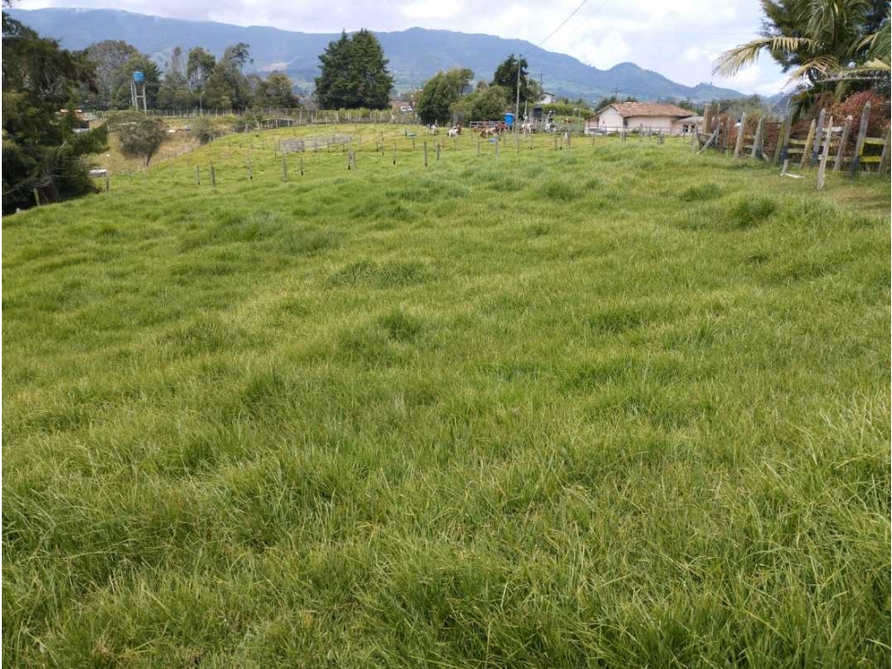 Venta finca uso comercial San Pedro de los Milagros Antioquia — foto 5