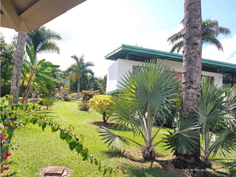 VENTA FINCA VENECIA SUROESTE ANTIOQUEÑO — foto 5