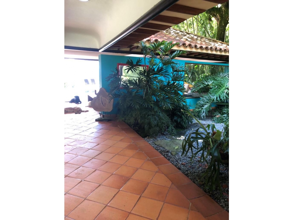 VENTA FINCA VENECIA SUROESTE ANTIOQUEÑO — foto 5