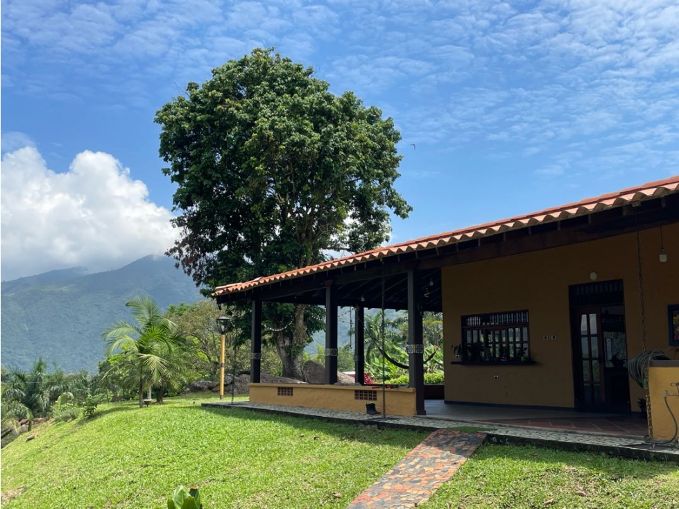 VENTA FINCA VENECIA SUROESTE ANTIOQUEÑO — foto 2