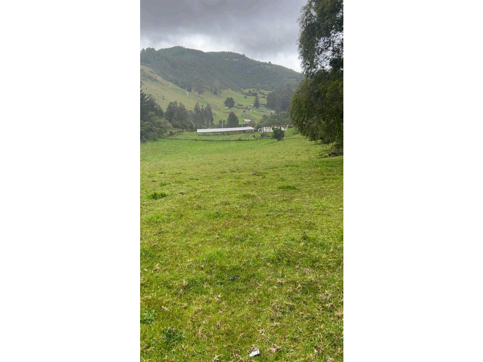 Venta finca San Luis Vereda El Salitre, Guasca - 4