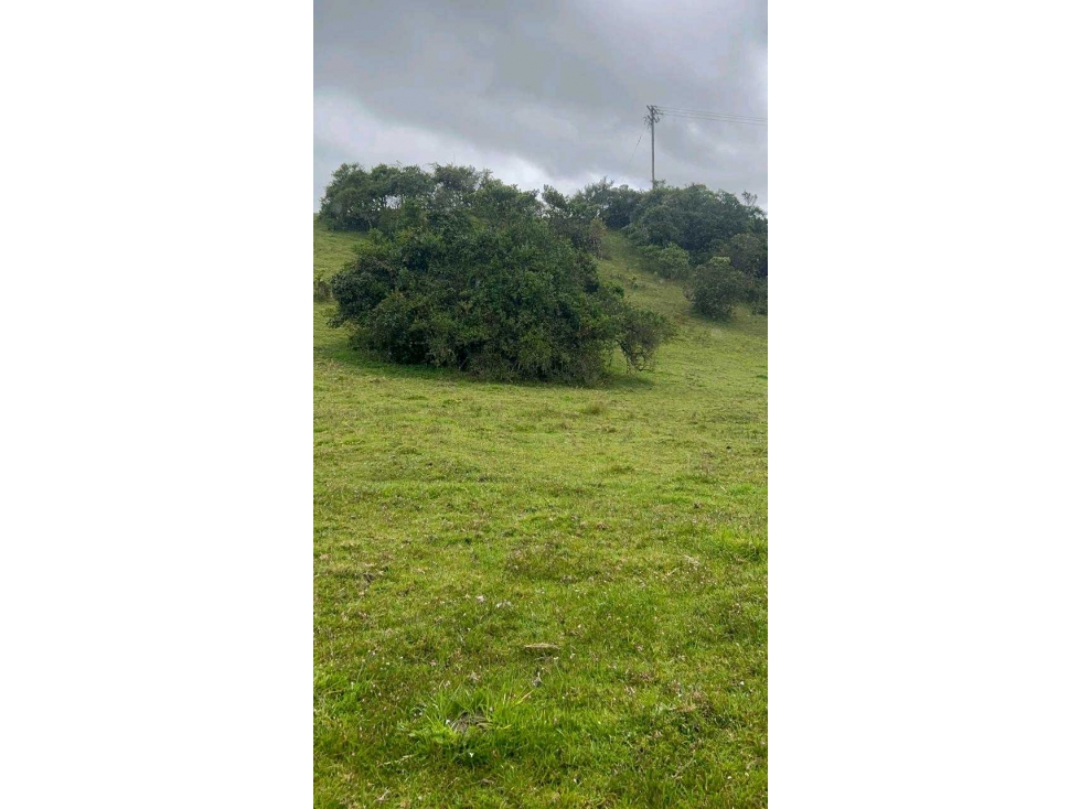 Venta finca San Luis Vereda El Salitre, Guasca - 5