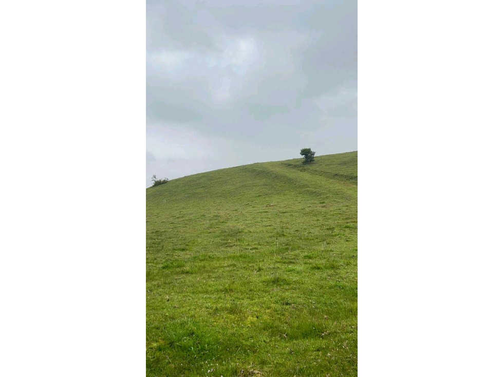 Venta finca San Luis Vereda El Salitre, Guasca - 6