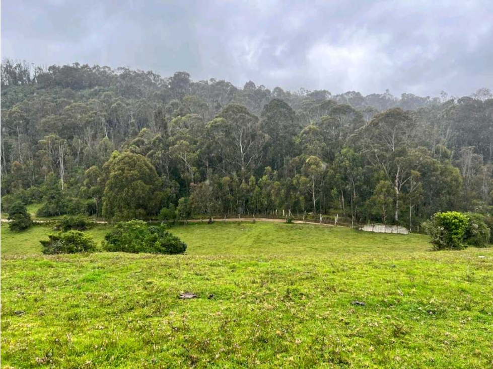 Venta finca San Luis Vereda El Salitre, Guasca - 3