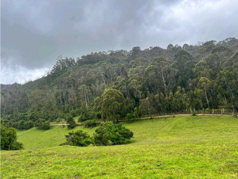 Venta finca San Luis Vereda El Salitre, Guasca - 2