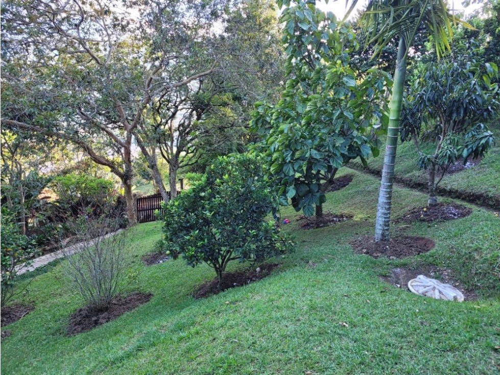 Venta Finca Vereda La Matica, Girardota, lote 5200 m2, casa 132 m2 — foto 3